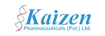 kaizen